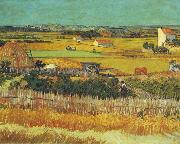 Vincent Van Gogh The Harvest, Arles painting